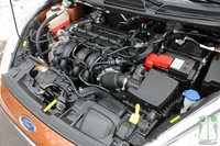 Тест драйв Ford Fiesta  медный котелок